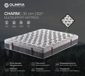 {{photo.Alt || photo.Description || 'Импортный турецкий матрас "Charm"'}}