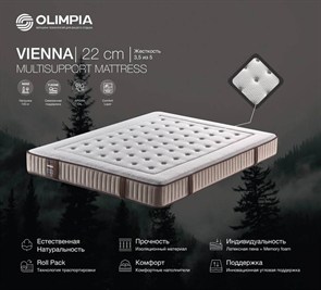 {{photo.Alt || photo.Description || 'Импортный турецкий матрас "Vienna"'}}