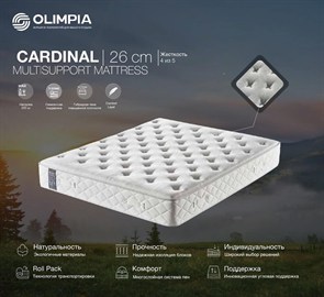 {{photo.Alt || photo.Description || 'Импортный турецкий матрас "Cardinal"'}}