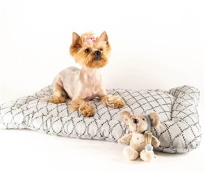 {{photo.Alt || photo.Description || 'Лежанка "Chico" Жаккард'}}
