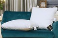 Импортная швейцарская подушка "Trois Couronnes Duke Cosy" - фото 165910