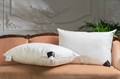 Импортная швейцарская подушка "Trois Couronnes Revival OmniFace Side Pillow" - фото 165947