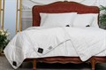 Импортное швейцарское одеяло "Trois Couronnes Nature Night Linen" - фото 165963