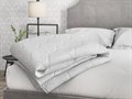 При покупке матраса "A Try Prix Massage" или "A Try Tvis Massage" - одеяло 140х200 Promtex или Sontelle в подарок  (акция закончилась) - фото 171986