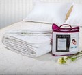При покупке матраса из серии "AMORE" - в подарок защитный наматрасник на резинках в размер матраса! - фото 172013