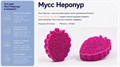 Матрас "BioGold Mousse" - фото 176543